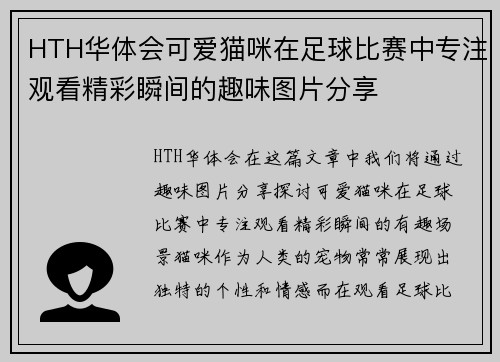 HTH华体会可爱猫咪在足球比赛中专注观看精彩瞬间的趣味图片分享